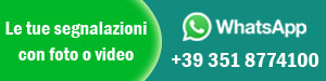 segnalazione whatsapp