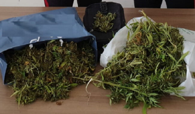 Coltivazione e spaccio: denunciato 40enne tradito dal forte odore di marijuana