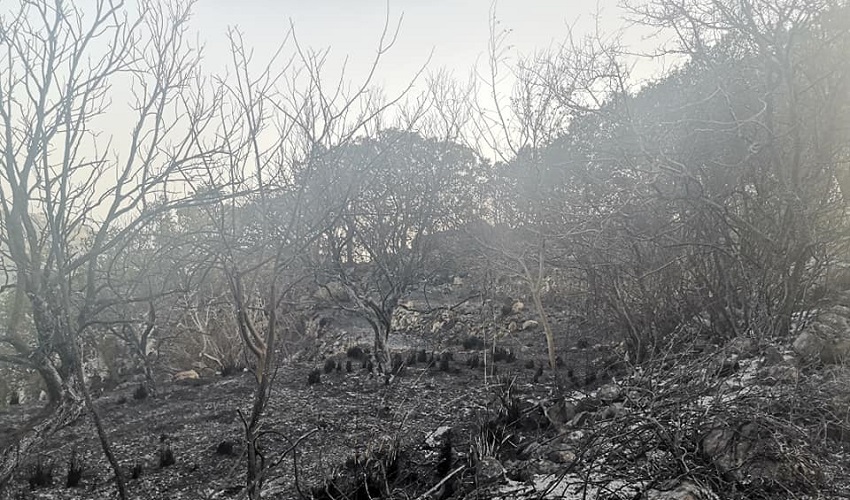 Buscemi assediata dal fuoco, il sindaco La Pira: "Chiederemo lo stato di calamità naturale"
