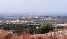 Sentenza del Tar sul Parco degli Iblei: le reazioni 1 parco