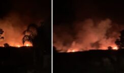Siracusa assediata dal fuoco: roghi estesi a Targia, Fonte Ciane, Cassibile