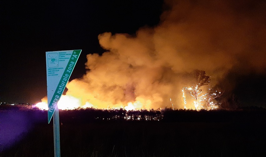 Siracusa, emergenza incendi: Italia Nostra "Si potenzino le risorse operative e investigative"