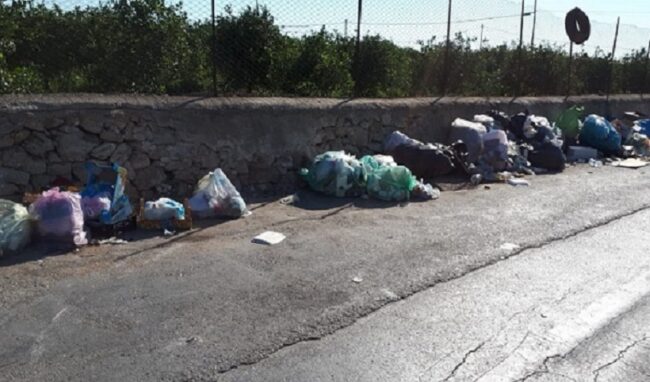 Tutela dell'ambiente e igiene pubblica, scatta la confisca per chi non paga la sanzione amministrativa