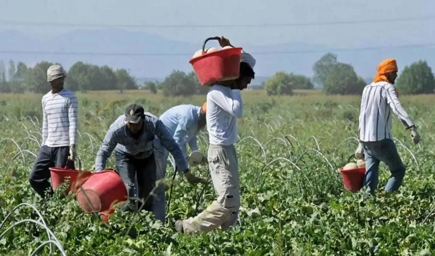 Lavoratori agricoli, firmato il rinnovo del contratto provinciale