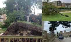Alberi abbattuti dal ciclone Apollo a Siracusa, si lavora alla stima dei danni