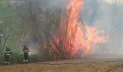 Incendi estivi, squadre aggiuntive per contrastare i roghi: una assegnata a Siracusa