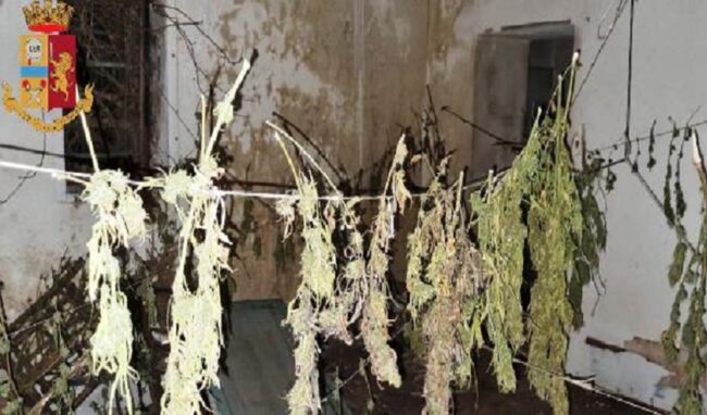 Coltivazione di marijuana, arrestato 15enne a Lentini