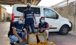 Controlli su mercati ittici e ristoranti della Sicilia orientale: a Siracusa sequestrati 30 Kg di novellame di sarda