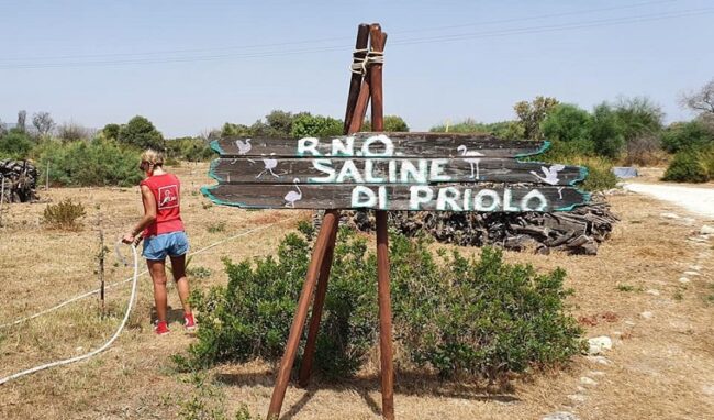 Riapre domenica la Riserva Saline di Priolo: 2 anni fa l'incendio che devastò l'oasi naturale