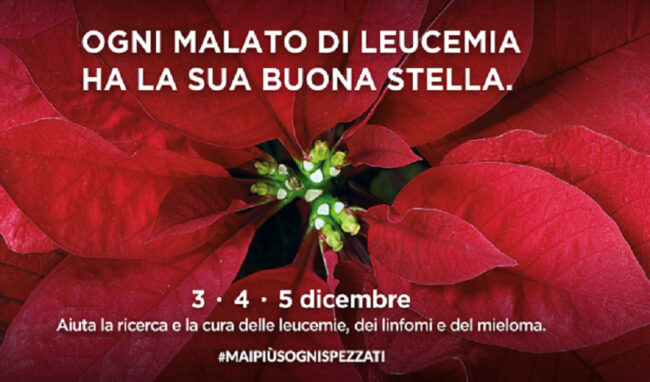 Dal 3 al 5 dicembre l’Ail torna in piazza con le stelle di Natale