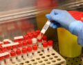 laboratori