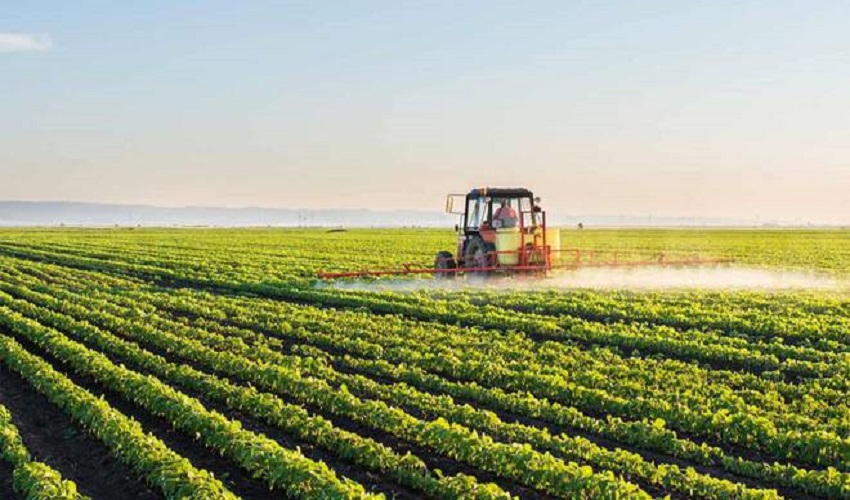 Agricoltura, dal Pnrr la misura “Parco AgriSolare” per la transizione verde