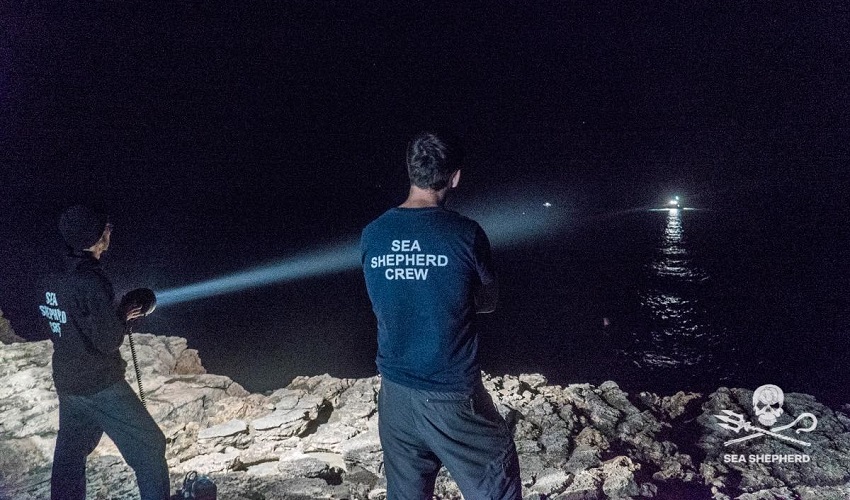 "Operazione Siracusa": i volontari di Sea Sheperd impegnati in attività antibracconaggio all'Amp
