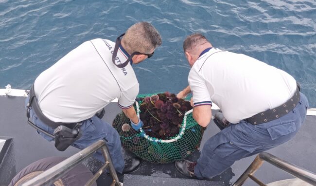 Pesca di frodo di ricci di mare: sanzione di 2.000 euro