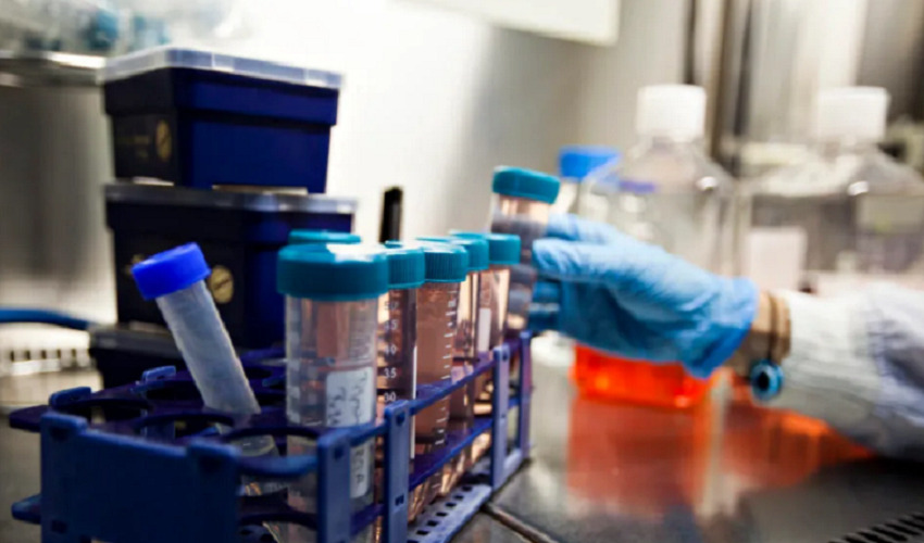 Coronavirus, 146 nuovi positivi in provincia di Siracusa. In Sicilia 1.806