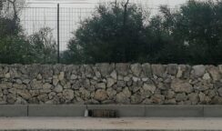 Fuochi d’artificio sparati lungo il muro di recinzione della Riserva Saline di Priolo: in fuga la colonia di fenicotteri