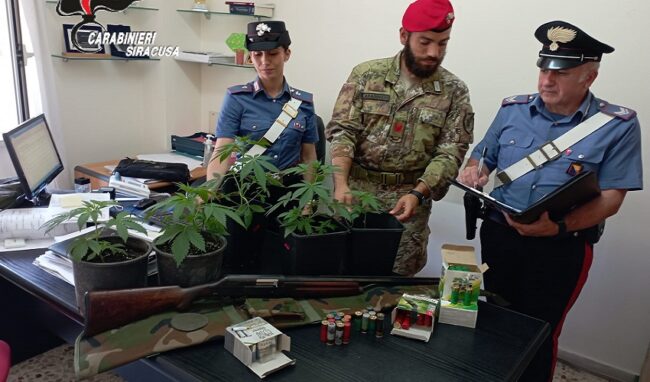 Armi e droga in casa: sotto sequestro 5 piante di marijuana e un fucile. Arrestato