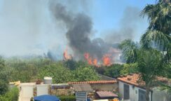 Violento incendio all'Arenella: fiamme a ridosso delle villette. Panico tra i residenti