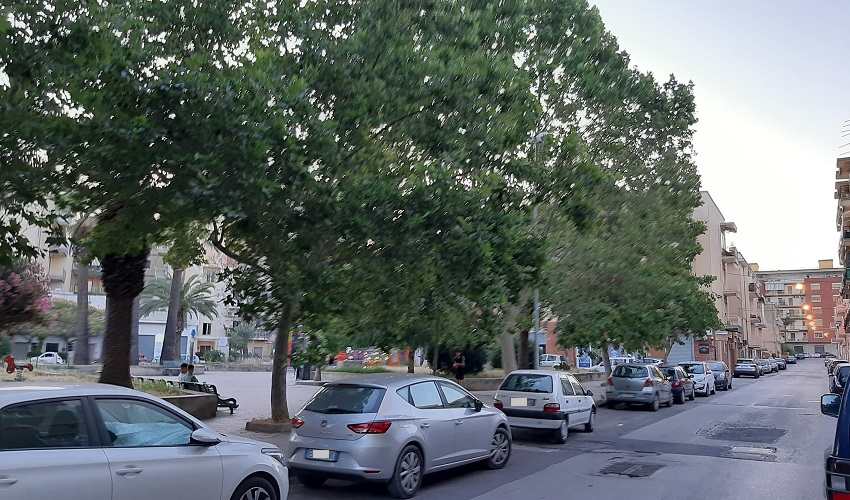 Alberi in via Tisia, Lealtà e Condivisione replica ai tecnici del Cenaco: "Rischiamo un salto indietro di 40 anni"