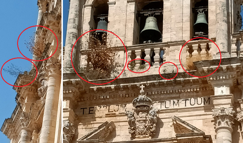 Erbe infestanti sulla facciata della Chiesa madre di Sortino. A rischio distacco gli elementi architettonici