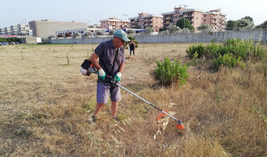 "Il Bosco delle Troiane cresce, ma è rimasto l'unico in città": l'amarezza di Natura Sicula