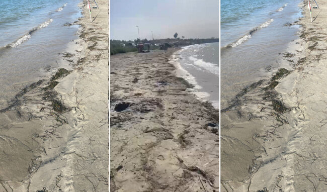 Spiaggia libera all'Isola, lo sfogo dei bagnanti: "Assente la manutenzione ordinaria"