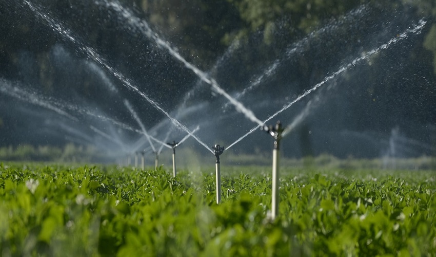 Comunità energetica rinnovabile per abbattere i consumi delle aziende agricole: nasce nel Siracusano