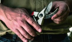 Sferra fendenti al rivale con una forbice da giardino: 64enne denunciato per lesioni
