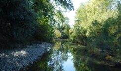 Rischio esondazioni: arriva la direttiva dell'Autorità di bacino su pulizia e manutenzione dei corsi dei fiumi