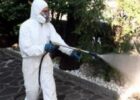 disinfestazione