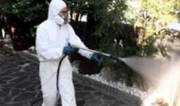 disinfestazione