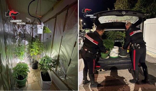 Aveva allestito una serra in casa per coltivare marijuana: 46enne arrestato