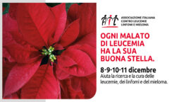 L’Ail torna in piazza con le Stelle di Natale 2022 dall'8 all'11 dicembre