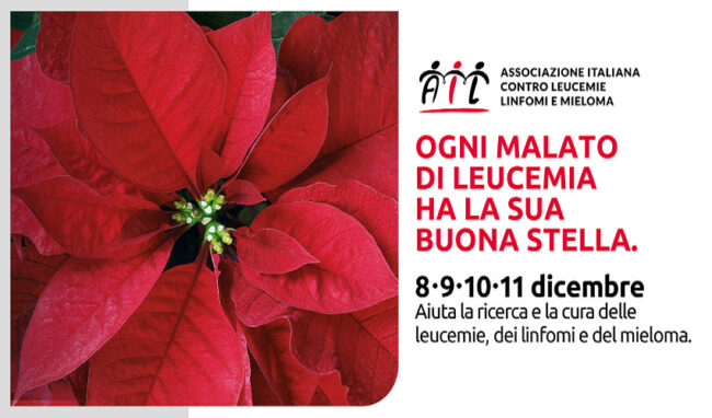 L’Ail torna in piazza con le Stelle di Natale 2022 dall'8 all'11 dicembre