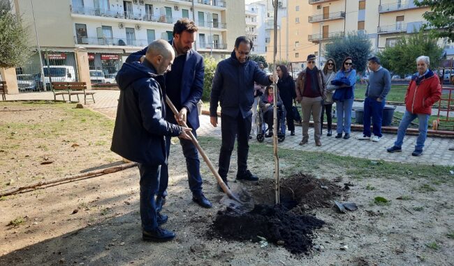 Decennale Dino Cartia, 2 nuovi alberi all'interno del parco di Piazza Adda a lui dedicato