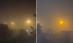 nebbia arenella