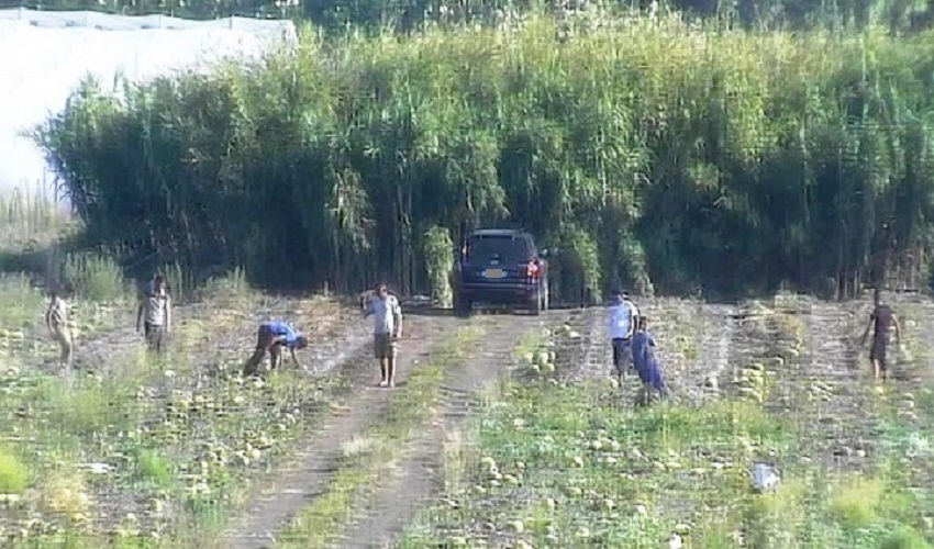 Operazione anti caporalato a Pachino: emesse 3 misure cautelari