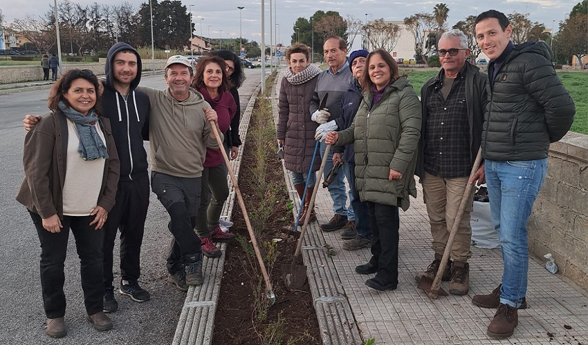 Verde urbano, piantumate 200 piantine di mirto