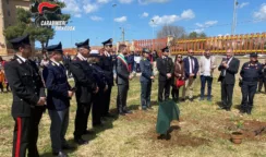 Piantumata una talea dell’Albero Falcone nel giardino del comprensivo "De Amicis"