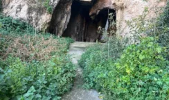 Parco archeologico di Siracusa "impresentabile" con siti chiusi ed erbacce alte. Auteri chiede l'intervento dell'assessore Scarpinato