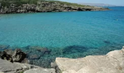 Restauro costiero come misura per adattarsi ai cambiamenti climatici