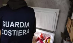 Pescato senza tracciabilità e carenze igienico-sanitarie: sospesa l'attività di un ristorante
