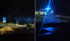 Mucche investite sulla Siracusa-Catania: 3 auto coinvolte e 4 feriti