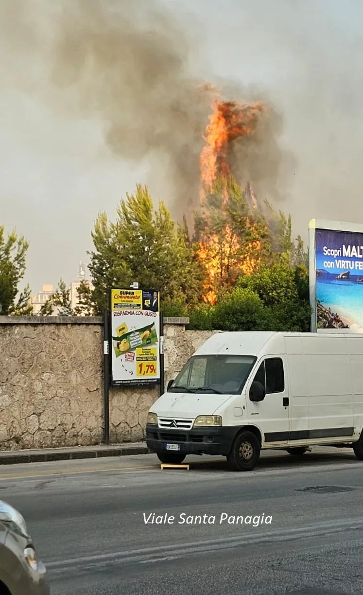 Il fuoco mette sotto assedio Siracusa: chiusa viale Scala Greca ed evacuato viale Epipoli