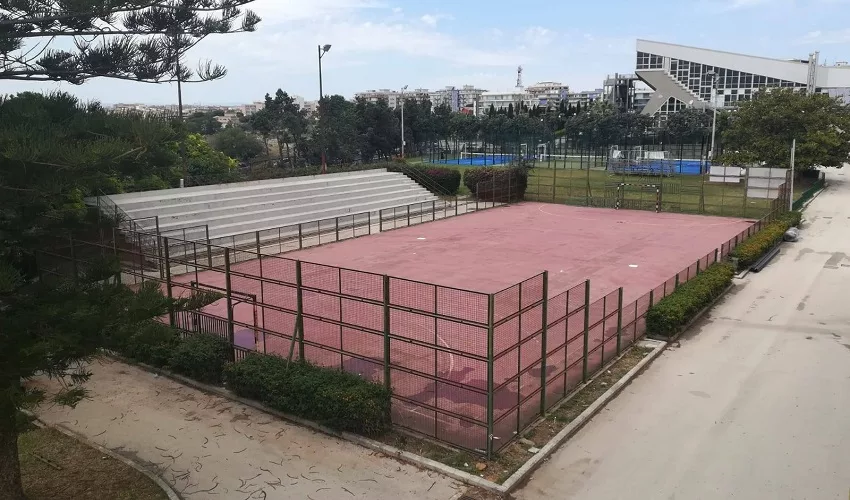 tribuna