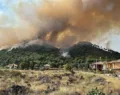 campagna antincendio