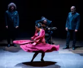 flamenco