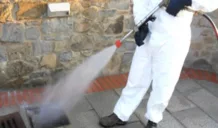 Intervento di derattizzazione a Priolo per la giornata di venerdì 31 ottobre 1 derattizzazione