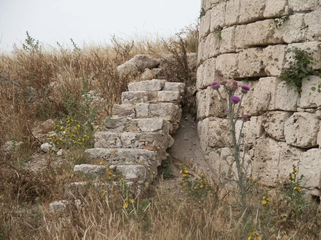 Magnisi, la “torre degli inglesi”