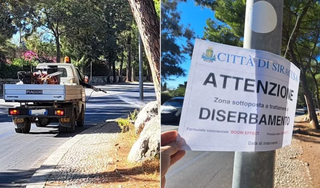 diserbo